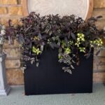 Pair of Concrete Fruit Baskets with Concrete Pedestals –  Vintage ’70’s